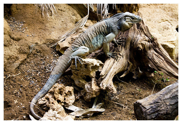 img 2370