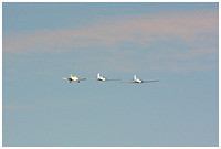 img 7881